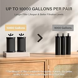 2.25G Gravity Water Filtration System - Water Level