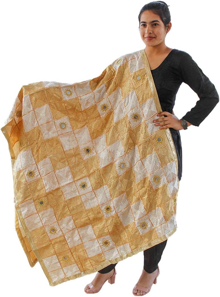 Sahej SuitsBeige Phulkari Bagh with Gotta & Mirror Work