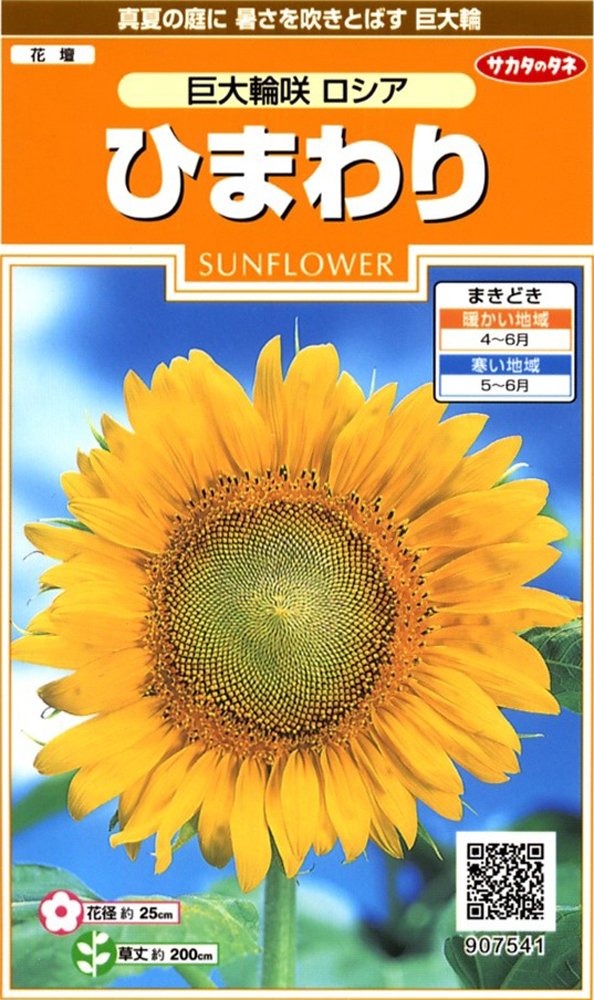 サカタのタネ 実咲花7541 ひまわり 巨大輪咲ロシア 00907541商品画像