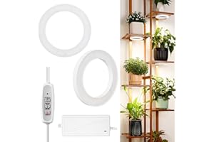 LORDEM 6.3” Ceiling Grow Light for Indoor Plants, 144 LEDs Full Spectrum Halo Grow Lamp, Under Cabinet Plant Lamp with 4/8/12H Auto Timer, 4 Dimmable Brightness Levels, Ideal for Pot Plants, Dual Head