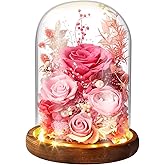 Laladeyek Premium Preserved Light with LED Light in Glass Dome - Long-Lasting Real Flower Gift for Women, Daughter, Mom, Wife, and Friends - Perfect for Birthdays and Special Occasions (Pink)