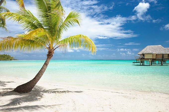 Amazon Com Palm Tree And Huts On Tropical Beach Photo Photograph Cool Wall Decor Art Print Poster 18x12 Posters Prints