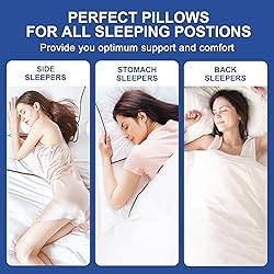 Premium Pillows King Size Set of 2, Fluffy and