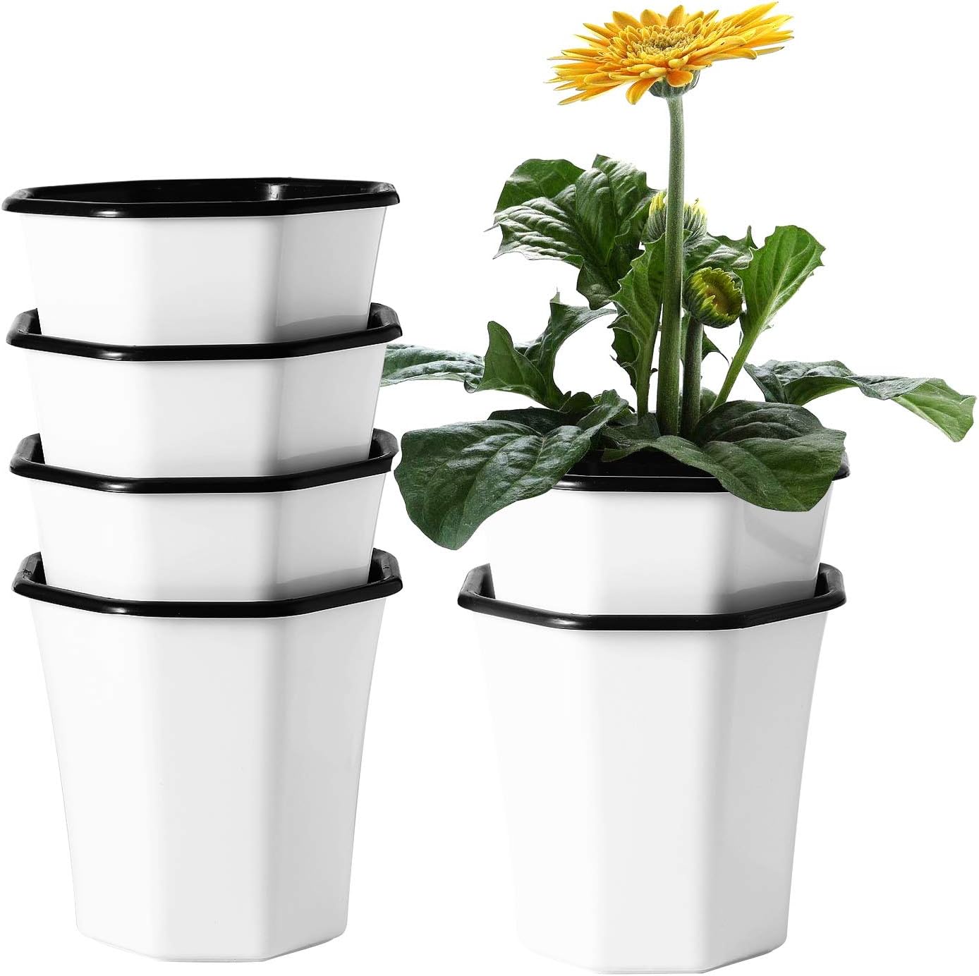 T4U Plastic Self Watering Planter Pot 5 Inch White Set of 6, Small Indoor Geometric Nursery Seedling Flower Pot Container for Orchid Herb Aloe Succulent Cactus Home Office Windowsill Balcony Decor