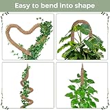 K-Brands Moss Pole Bendable 48 In Plant Support 2 Pack with Ties view 3