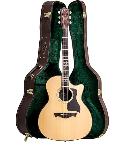 214CE DLX LTD VIOLÃO TAYLOR ELETROACÚSTICO AÇO TRANS GREY TOP