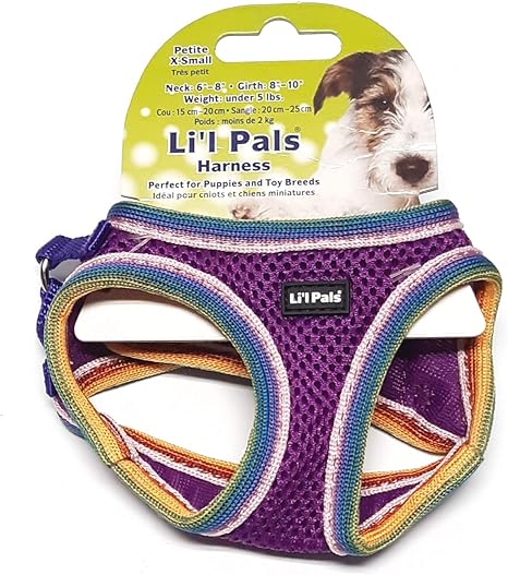 toy breed dog harness