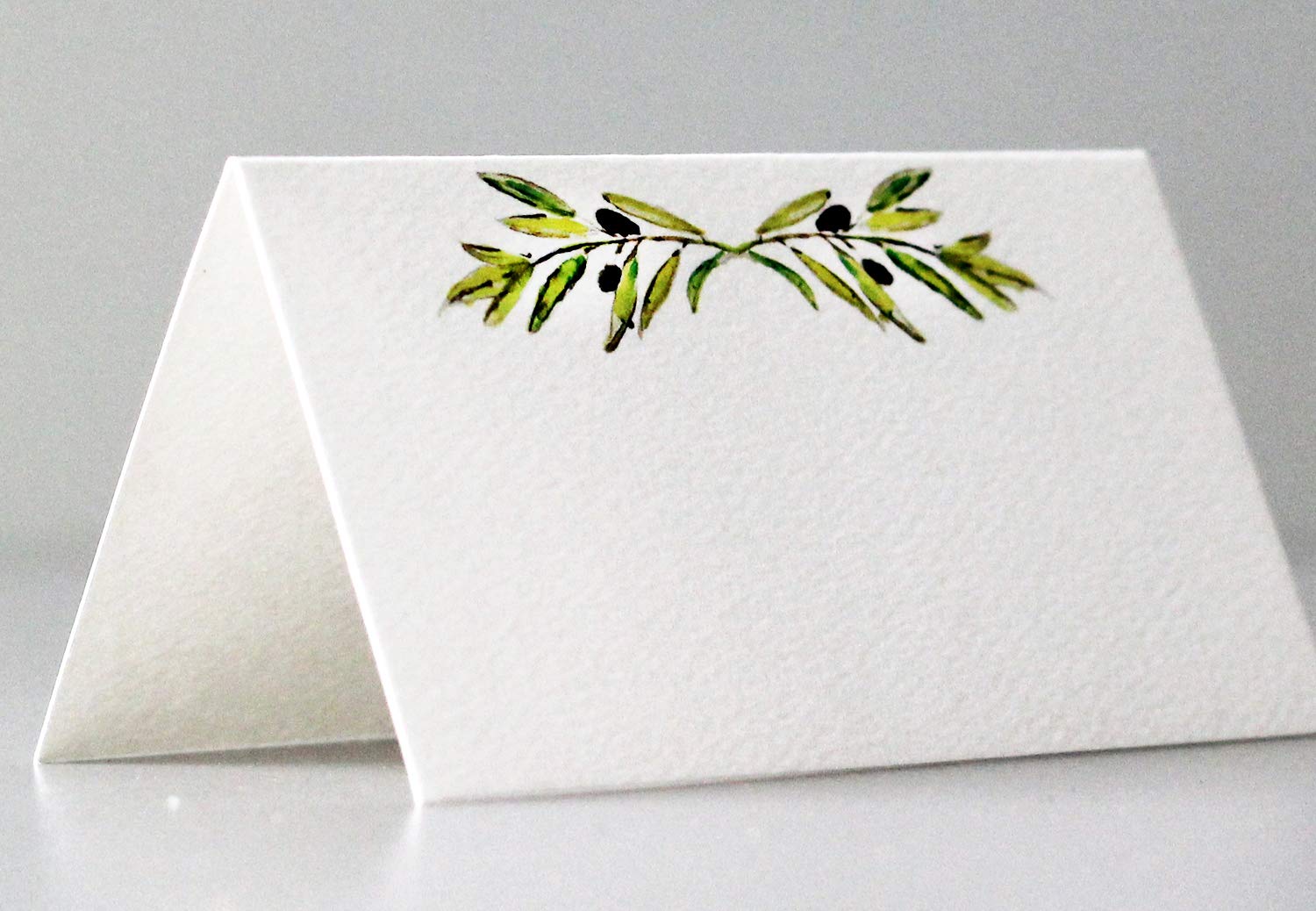 Nancy Nikko Place Cards with Green Leafy Olive Branch for Weddings, Showers, and Dinner Parties. Table Tent Style, Scored for Easy Folding. Available in Pkgs of 12/25 / 50 (12)