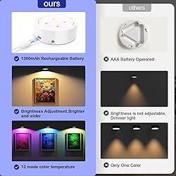 3 Pack Picture Lights for Wall, 13 RGB Color