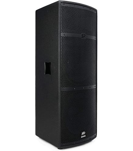 Amazon.com: Peavey (2) PACKAGE47 SP 2 Pro Audio DJ Passive 2000