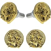 License Plate Bolts, 4 pcs Universal Jesus Style Stainless Steel License Plate Screw Kit for Motorcycle Chopper Windshield Trim Car Tag Frame, Unique Addition to Your Bike. (Gold)