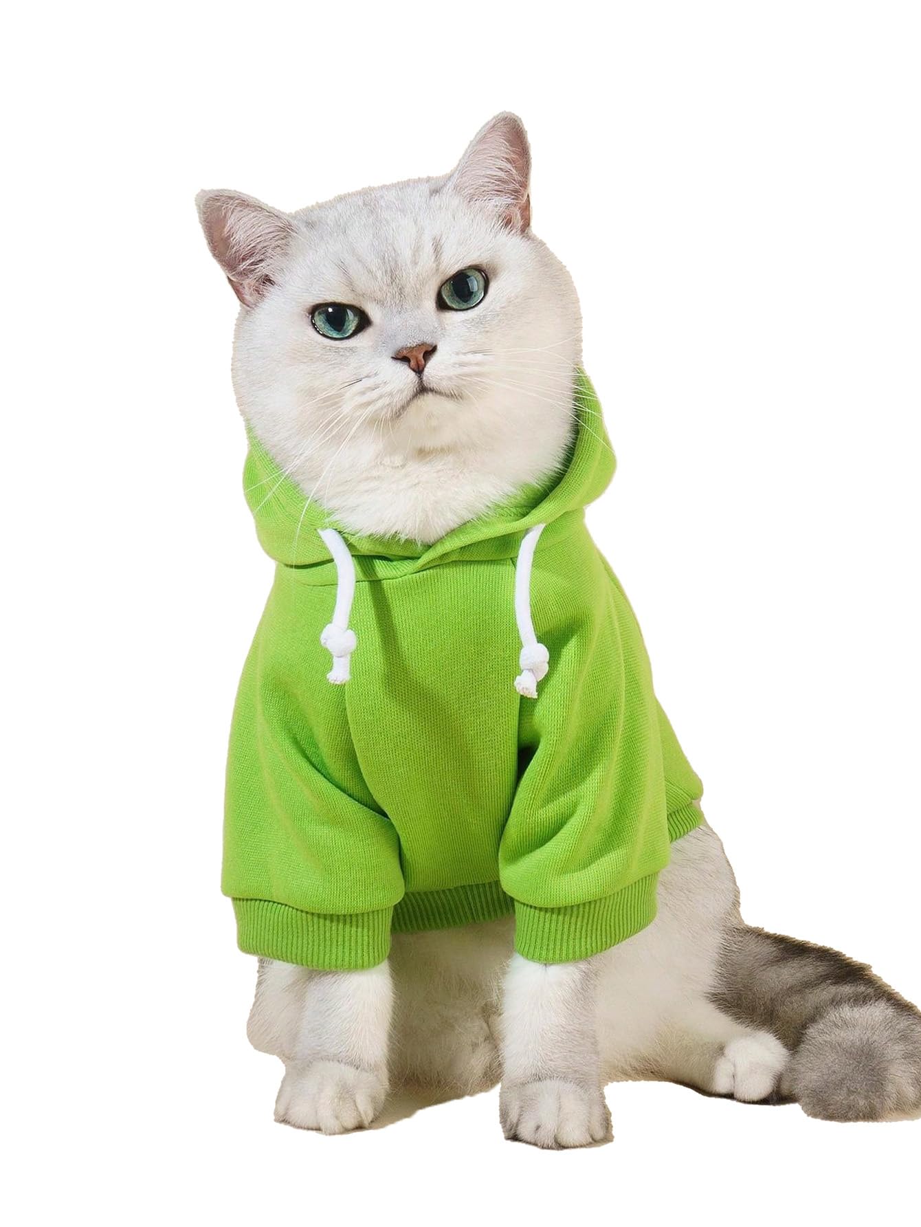 Photo 1 of ****FINAL SELL NOT RETURNS****QWINEE Basic Dog Hoodie Sweatshirt Puppy Sweater Warm Cat Costumes Pet Clothes for Chihuahua Puppy Kitten Small Medium Dogs Green Large