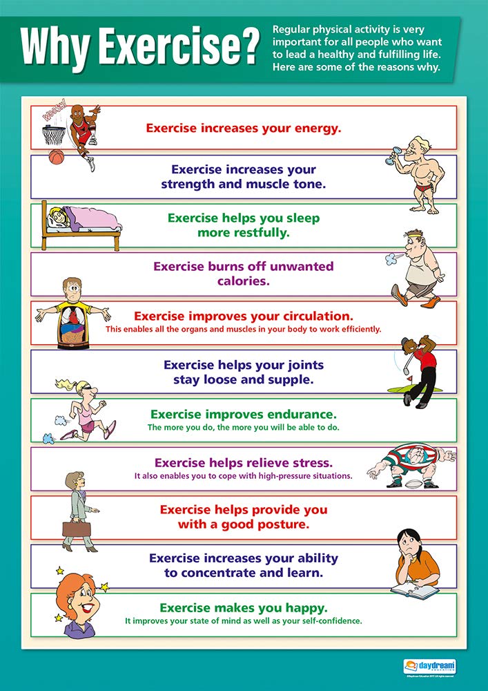 Why Exercise? | PE Posters | Gloss Paper measuring 850mm x 594mm (A1) | Physical Education Charts for the Classroom | Education Charts by Daydream Education