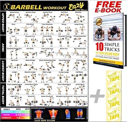 Barbell Workout Poster Mit Ubungen Zum Gewichteheben Gross 51 X