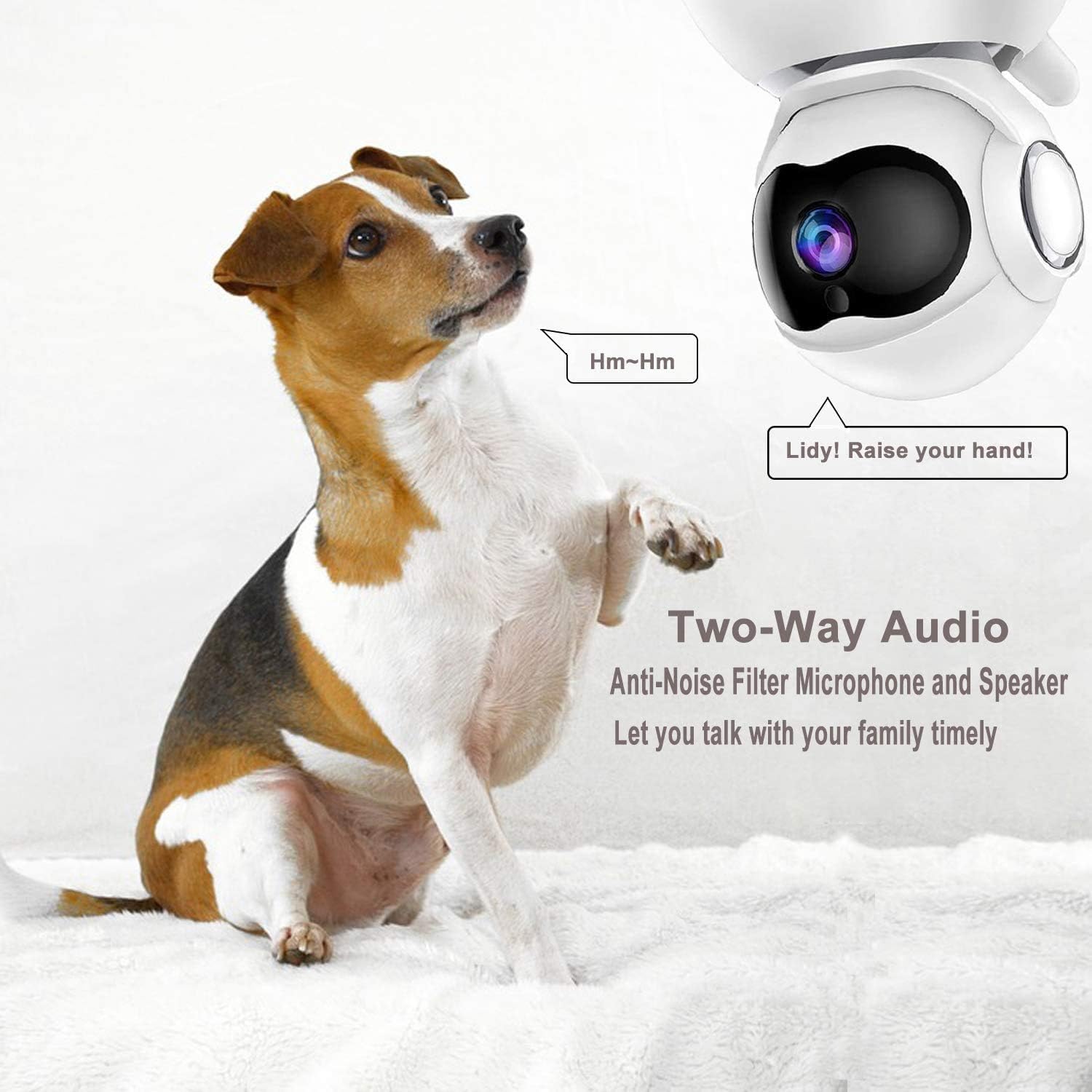 dog camera with microphone