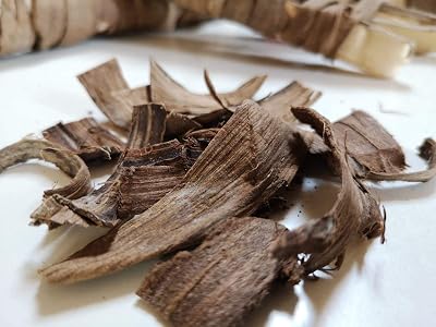 Nature Traditions Natural Moroccan Siwak Miswak Toothbrush 10g