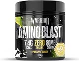 Warrior Amino Blast BCAA Powder 270g Fruit Salad – 5g BCAAs, Hydration