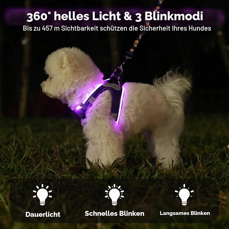 Leuchtend Hundegeschirr LED Aufladbar - Leuchtgeschirr Leuchtendes