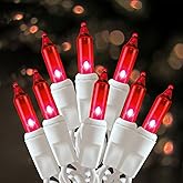 HISHINY Christmas Lights 100 Count Red Christmas Tree String Lights with White Wire for Outdoor Indoor Christmas Decorations Wedding Decorations Valentines Day Decor,UL Certified (21feet)