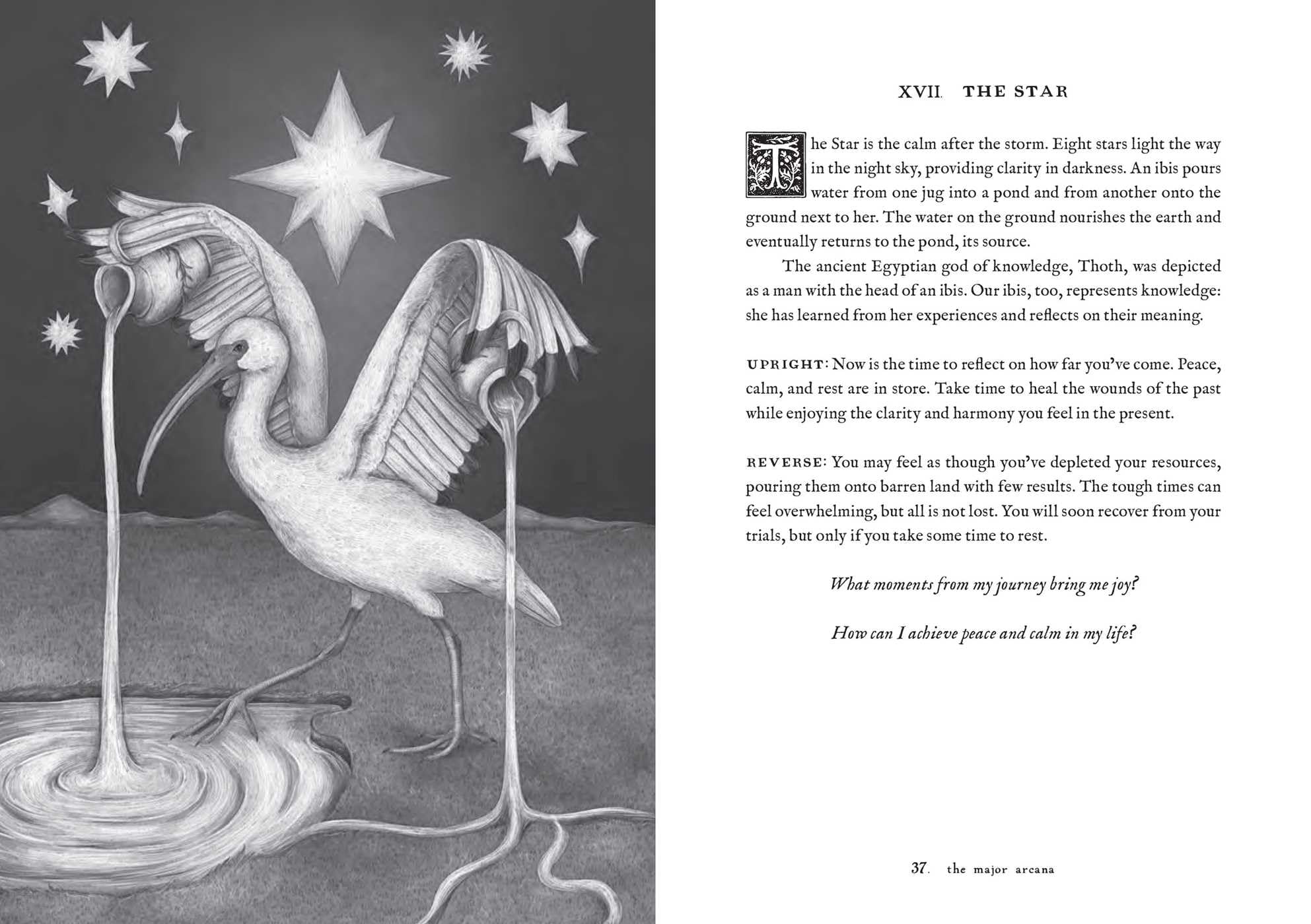 Tarot of the Woodland Wardens: 78-Card Deck & Guidebook Tarot of the Woodland Wardens: 78-Card Deck & Guidebook Product Bundle