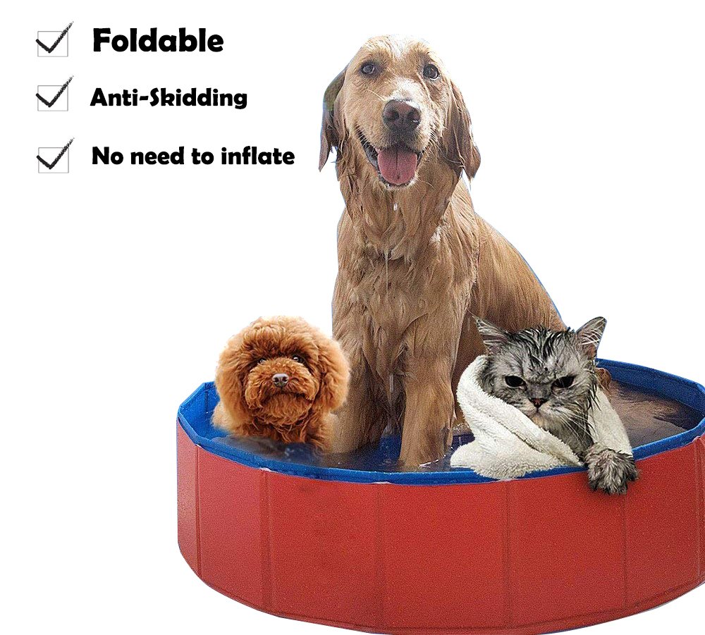 Buy Lumcrissy Foldable Portable Dog Pet Bath Pool,Swimming Pool Bathing
