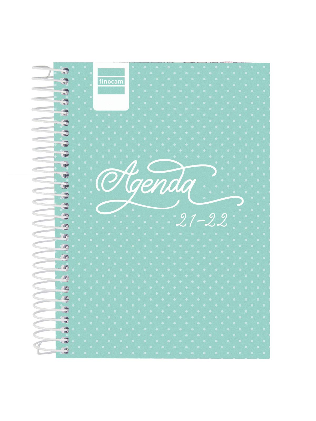 Finocam 2021 2022 1 Day Page Diary September 2021, June 2022 10 Months and July/August 8th Summary 120x162 Cool Turquoise Spanish