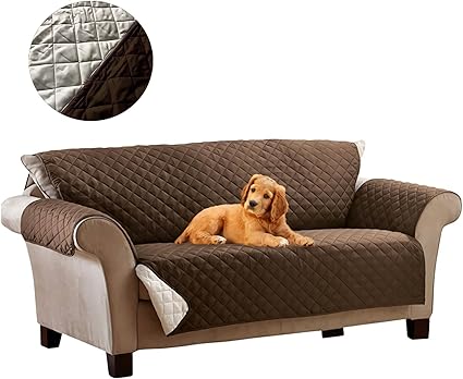 Come Eliminare Peli Di Cane E Gatto Dal Divano E Vivere Felici