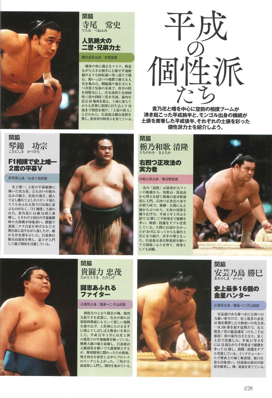 永久保存版 平成スポーツ史 大相撲 編 B B Mook1444 平成スポーツ史vol 3 ベースボール マガジン社 本 通販 Amazon