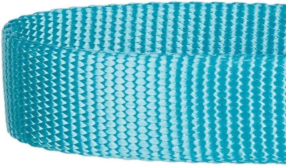 Blueberry Pet Essentials 22 Colors Classic Dog Collar, Turquoise, Large, Neck 18"-26", Nylon Collars for Dogs : Pet Supplies