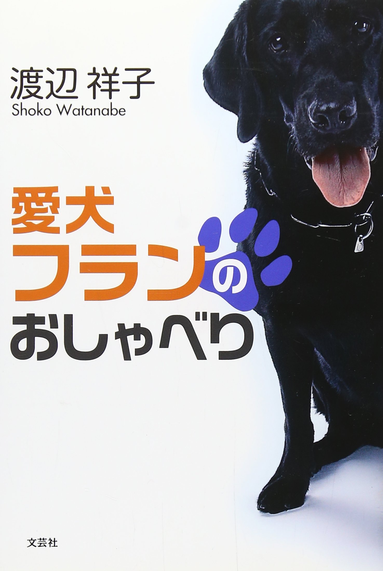 talking dog collar amazon