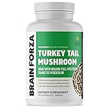 Brain Forza Organic Turkey Tail Mushroom