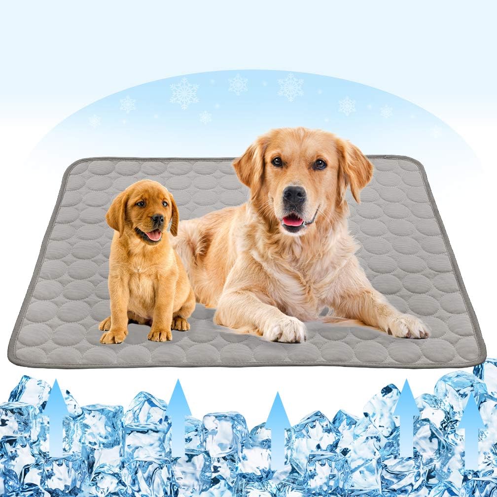 ice pad for dogs