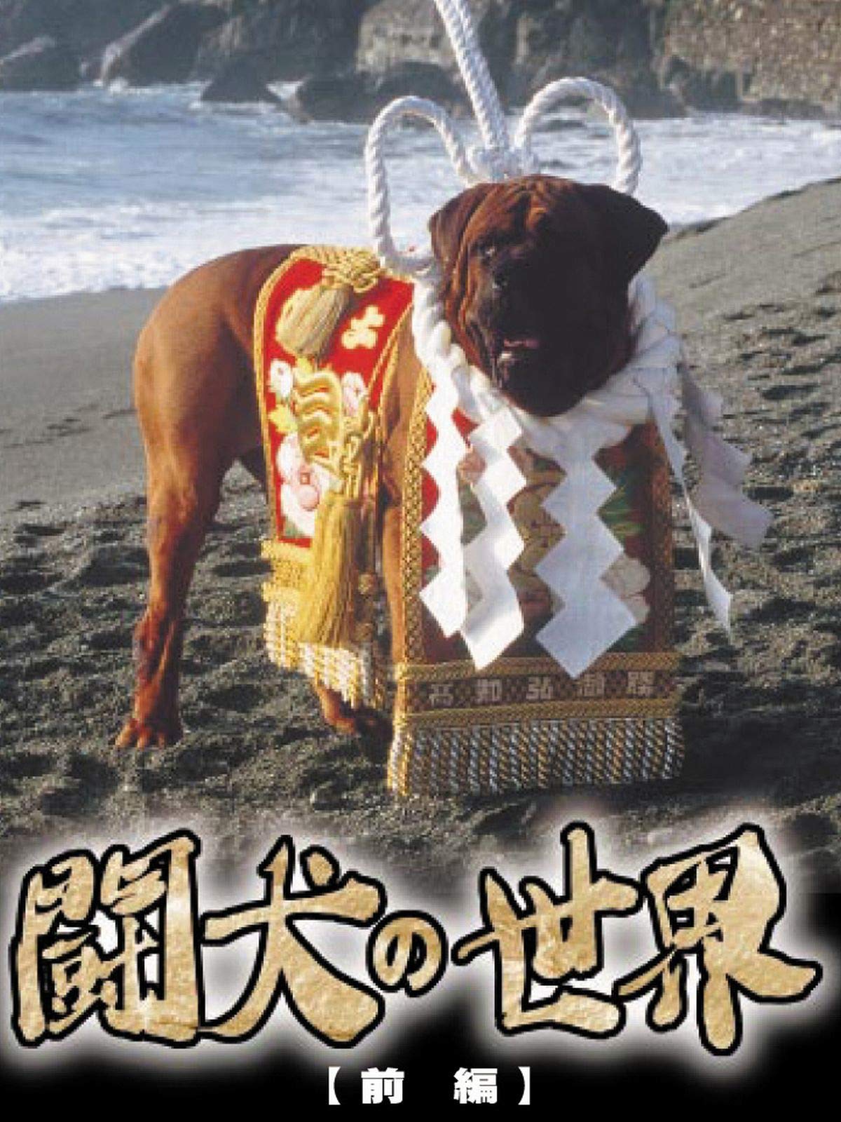 Amazon Co Jp 闘犬の世界 前編を観る Prime Video