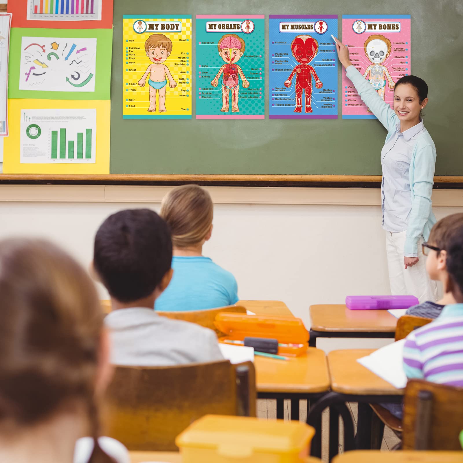 Mua Outus Human Body Educational Learning Posters Body Parts Wall Chart ...