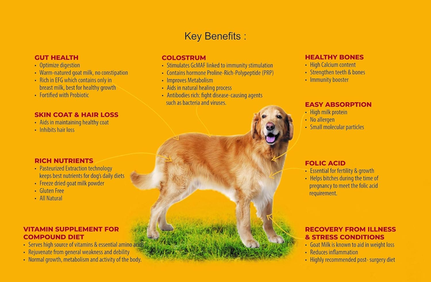 milk for dog constipation