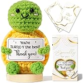 Thank You Gifts for Women Emotional Support Crochet Plush, Handmade Funny Turtle Crochet w/ Card Employee Appreciation Gifts for Teacher, Valentine's Day Birthday Gift for Women Coworker Nurses Bosses