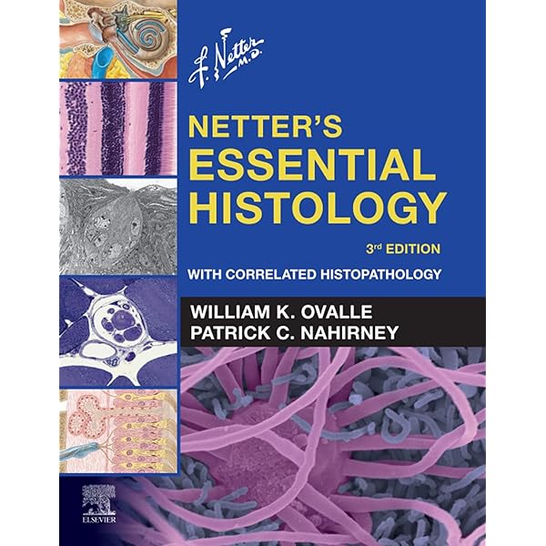 Molecular Biology 3, Clark, David P., Pazdernik, Nanette J
