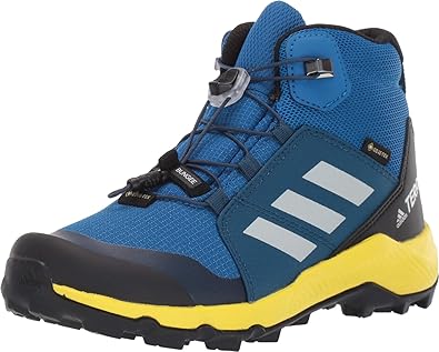 adidas performance terrex mid gtx