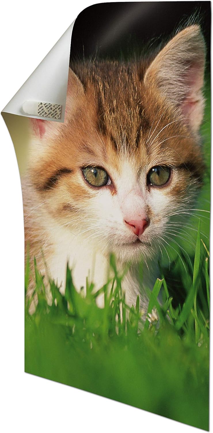 Weiss Grosse S Ablosbar Fur Poster Fotos Kalender 12 Stuck Command 17024 Poster Strips Burobedarf Schreibwaren Rahmung