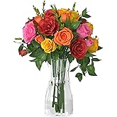 Der Rose 8 inch Clear Glass Flower Vases for Flower Bouquet Decoration Home Centerpiece Wedding Decor Gift