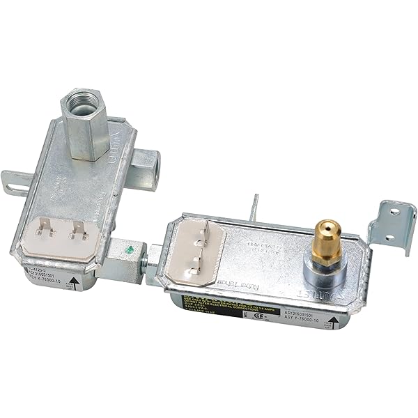 Amazon.com: Frigidaire 5303210156 Range/Stove/Oven Safety Valve 