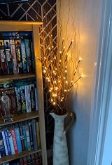 Eambrite 3 Pack 76cm Twig Lights with Ground Stakes Warm White LEDs view 6