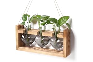 YYHGLASS Plant Terrarium Propagation Stations Faith Hope Love Hydroponics Wall Propagation Planters Gift for Women with Wooden Stand Heart Shaped Colored Vases