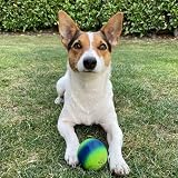 SPORTSPET High Bounce Natural Rubber Dog Balls 60mm 6 Pack Smoothie view 4