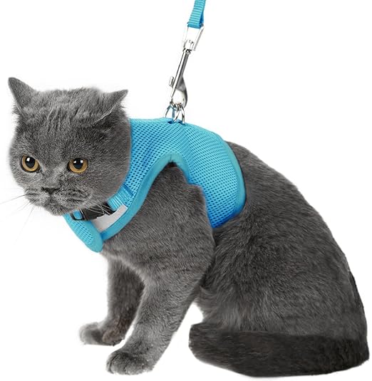 best cat harness amazon