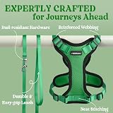 rabbitgoo Cat Harness and Lead Set XS Grass Green Adjustable Escape Proof view 7