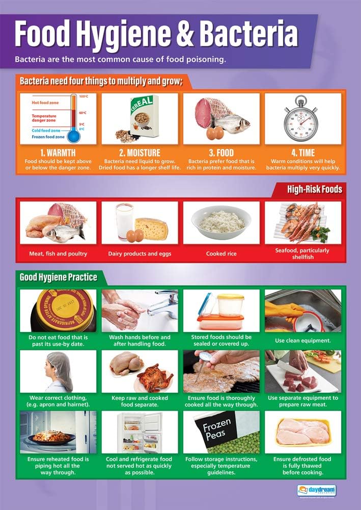 Daydream Education Food Hygiene & Bacteria, Laminated, 85L x 59.4W cm