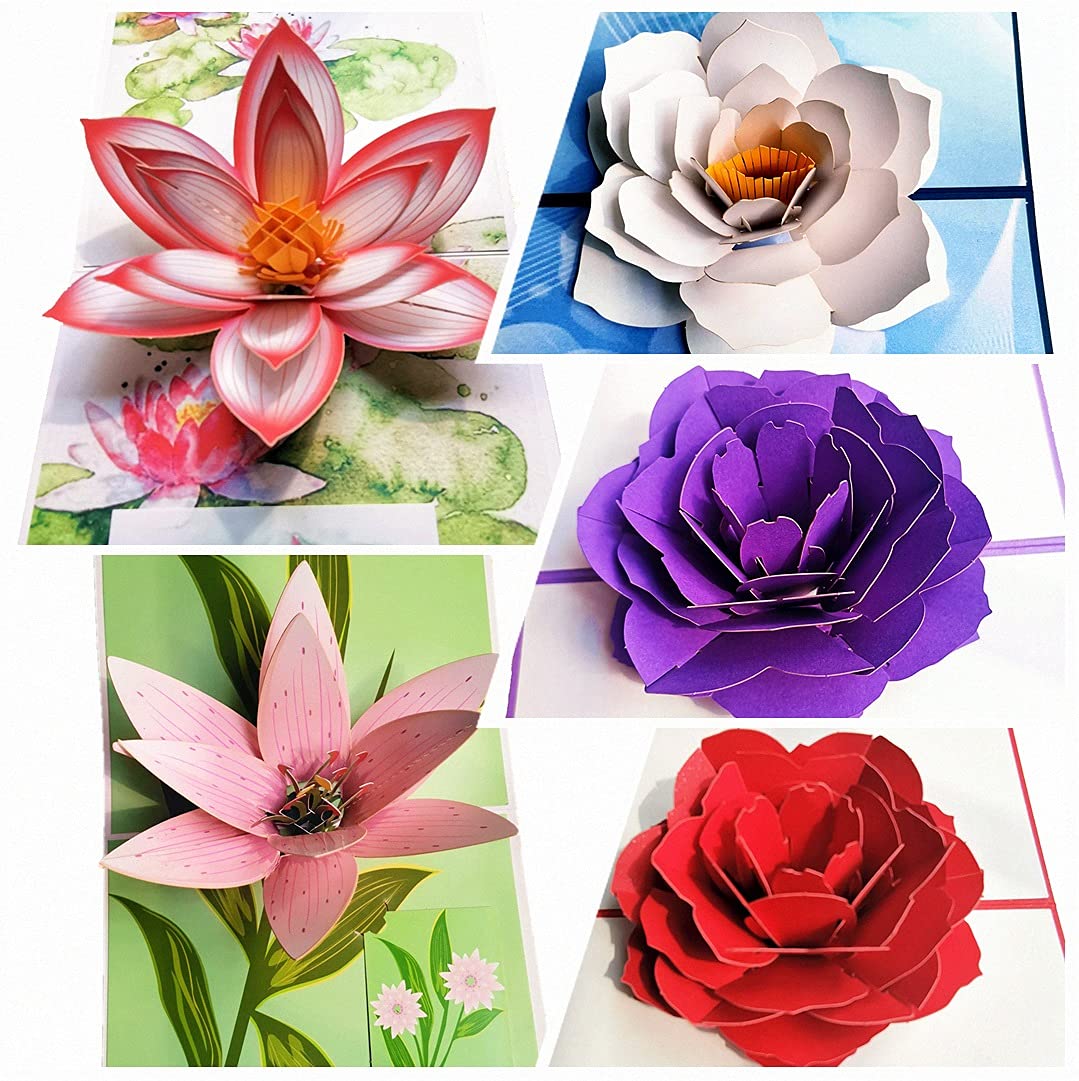 Photo 1 of 5-Pack Flowers Pop Up Cards Greeting Cards Assortment for Every Occasion Congratulation Valentine's Day Birthday or Wedding (Red+White+Navy+Purple)