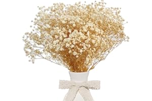CoolCrafts Dried Babys Breath Bulk Natural Dried Gypsophila Flowers White Babys Breath Stems for Home Decor, Weddings, Crafts