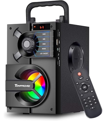Fully Amplified Portable 5500 Watts Peak Power 2 X 10 Speaker With Disco Ball